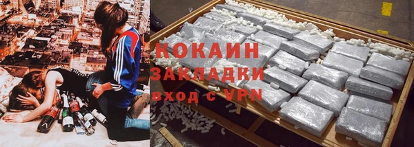 сатива Алзамай