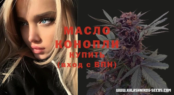 сатива Алзамай