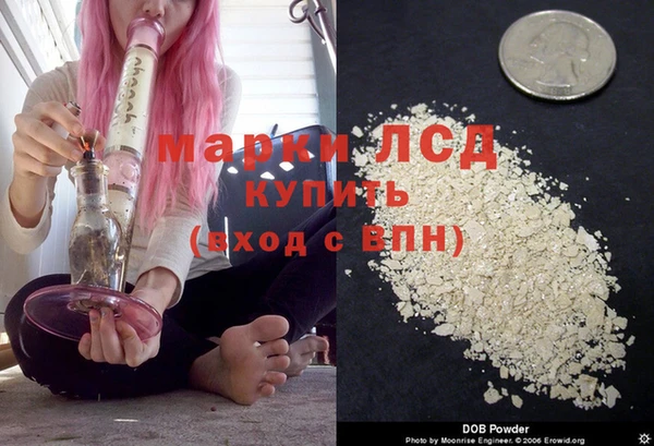 сатива Алзамай